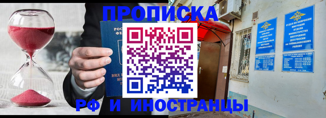 прописка 2025 в Елизово