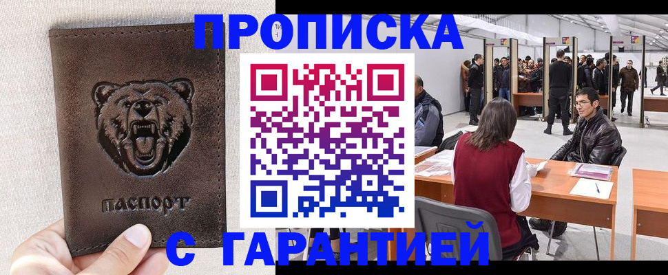 временная регистрация поиск в Елизово